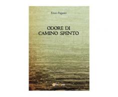 Odore di camino spento - Vincenzo Pagano