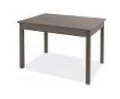Arredo Interno Tavolo Firenze 120x80 cm allungabile larice grigio