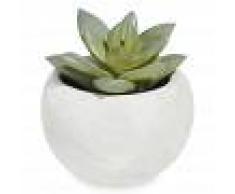 Maisons du Monde Mini pianta succulenta artificiale in vaso