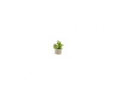 Kave Home Pianta succulenta portulacaceae artificiale Zelena