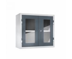 QUIPO Armadietto pensile per officina, alt. x largh. x prof. 600 x 650 x 320 mm, ante con finestrella