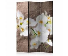 Paravento 3 Pannelli - Impeccability Of The Orchid 135x172cm Erroi...