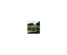 Pergola Gazebo da Giardino in Legno di Pino Apple 5x3 m