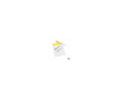 Home Lavagna Magnetica Con Pennarello (10,5 X 15 Cm) 143922 Giallo
