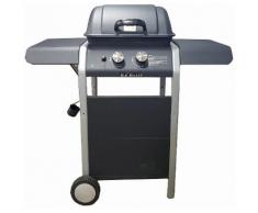 Barbecue A Gas Gpl A Pietra Lavica 2 Fuochi Manieri Gordon Basic B...