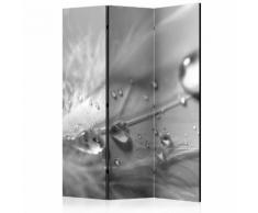 Paravento 3 Pannelli - Grey Feather 135x172cm Erroi...