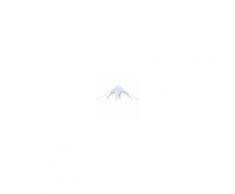 Outsunny Struttura Parasole Tendone Gazebo Impermeabile in Poliestere, Bianco, 10x10x4m
