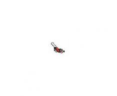 Grizzly Tosaerba a scoppio BRM 51-163 BSA InStart con Motore B&S e Mow`n`Stow funzione - 89410019