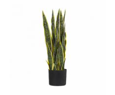 Pianta artificiale in vaso 63 cm SNAKE PLANT