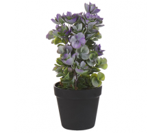 Pianta artificiale in vaso 31 cm HOUSELEEK PLANT