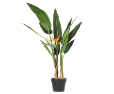 Pianta artificiale in vaso 115 cm STRELITZIA TREE