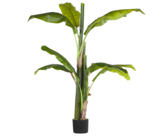 Pianta artificiale in vaso 154 cm BANANA TREE