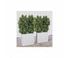 VIRIDIUM Pianta Artificiale Osmanthus Cm 170-135x50 Senza Vaso