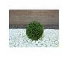 VIRIDIUM Pianta Artificiale Palla Di Bosso 33cm