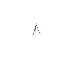 Manfrotto Treppiede Carbonio 755CX3 MDEVE treppiedi video con culla 50mm