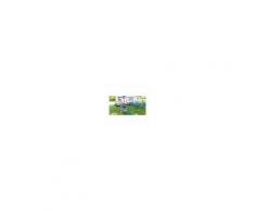 Camping Gaz Barbecue A Gas Campingaz Party Grill 600 Modello 2000025701 Da Campeggio
