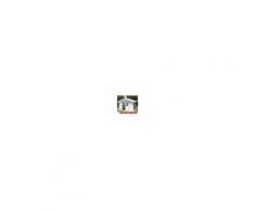 Grosfillex S.r.l. Casetta Prefabbricata Da Giardino Attrezzi In Pvc Grosfillex Deco 7 Mq Bianco-Grigio