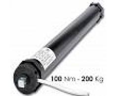 Rogiam Motori per tapparelle e tende da sole 100 Nm(200 kg) (as/ma100)