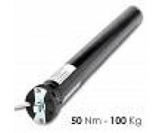 Rogiam Motore tapparelle e tende da sole 50 Nm (100 kg) (as/ma50)