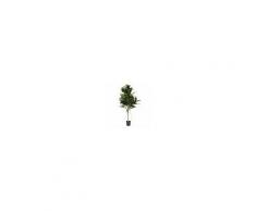 Kave Home Pianta ficus artificiale