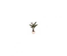 Maisons du Monde Pianta tropicale artificiale con vaso bianco