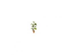 Maisons du Monde Pianta artificiale Monstera con vaso in terracotta, H 126 cm