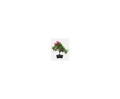 Interflora Azalea Bonsai