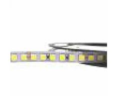 Silamp Striscia LED 5m smd 5050 24v DC 120w IP20 S11-5050-24V