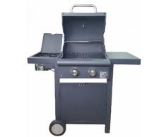 Barbecue A Gas Gpl A Pietra Lavica 2 Fuochi Manieri Arrosto Basic Nero