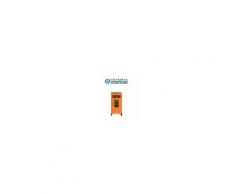 Olimpia Splendid Stufa A Pellet Olimpia Splendid Mia Vertical 9 Kw - 110 Mq Colore Arancio