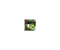 Ismos by Lighting Nike Lanterna Applique Per Esterno Grande Con Piatto D35 Illuminazione Giardino