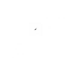 Excel Rasaerba Brico Rms099 Excel 07155
