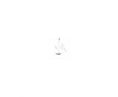 Aqua Laser Dual Swing Lavapavimenti ricaricabile