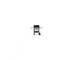 Weber Spirit Ii E-310 Gbs Barbecue A Gas Mod. 45010129