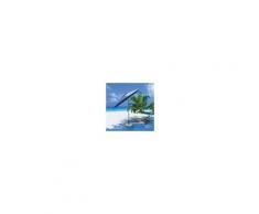 CAP35 Ombrellone testa snodabile a 6 stecche struttura in metallo e top in poliestere blu