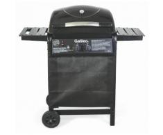 Barbecue A Gas Gpl 2 Bruciatori Soriani Gastone