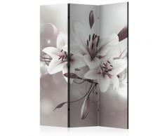 Paravento 3 Pannelli - Favourite Of Kings 135x172cm Erroi