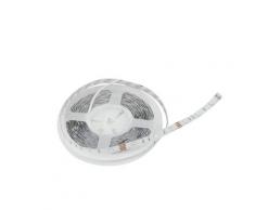 Rotolo Striscia 5 M Led 72 Watt Luce Rgb Intec Stripled-5050-rgb