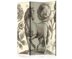 Paravento 3 Pannelli - Horse 135x172cm Erroi