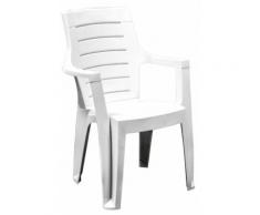 Sedia Da Giardino In Resina Con Braccioli Bauer Cleopatra Bianco