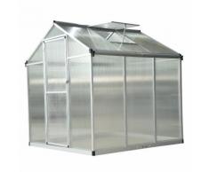 Serra Da Giardino Per Piante Tetto Apribile E Porta Scorrevole Trasparente 182x190x195 Cm Miozzi