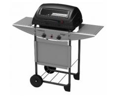 Barbecue A Gas Gpl Pietra Lavica 2 Fuochi Campingaz Expert Plus