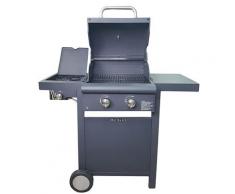Barbecue A Gas Gpl A Pietra Lavica 2 Fuochi Manieri Arrosto Basic Nero