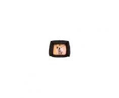 Martin Sellier Cuccia Teo Giorgio cani Tg 90