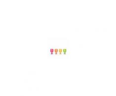 zak!designs Set 4 bicchieri da vino in colori fluo