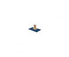 EverGreenWeb Letto per Cani alto 8 cm Lavabile Materasso Multiuso per Animali Domestici Cuscino Ortopedico in Waterfoam Cuccia Tappeto Sofa Imbottitura 100% Fiocco Effetto Piuma Tessuto Blu