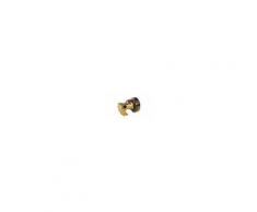 ANCOR Pompa PM 36EM a girante elastica autoadescante, in bronzo, per raffreddamento motori