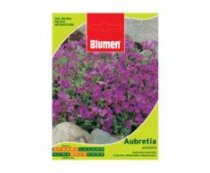 SEMENTI DI AUBRETIA PORPORA giardino semi seeds fiori aiuole blumen