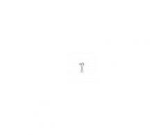 Driade Kosmo Antonietta candelabro - Driade Kosmo