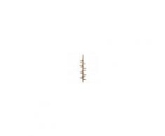 Mogg Adelaide Wood libreria - Mogg